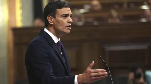 Pedro S&aacute;nchez