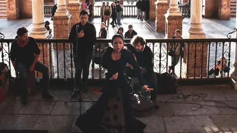 Espect&aacute;culo flamenco