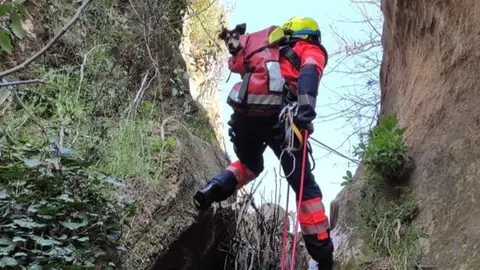 Rescatan a perro en cascada en M&aacute;laga