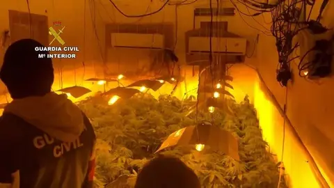 Marihuana intervenida en una operaci&oacute;n anterior