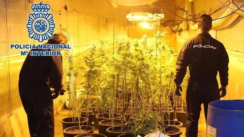 Dise&ntilde;o sin t&iacute;tulo (15)