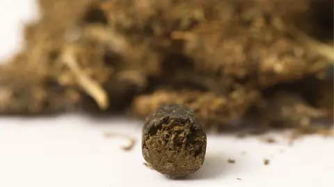 Hach&iacute;s / Imagen de Archivo