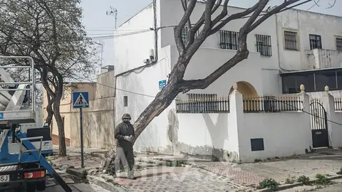 Efectos del Viento en Jerez de la Frontera en Calle Canarias 