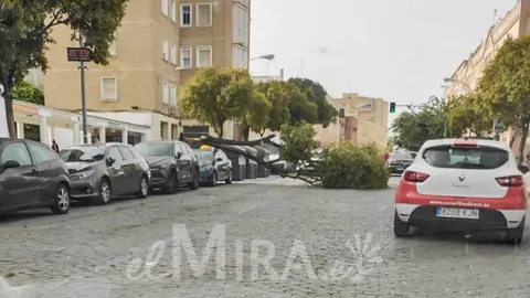 Efectos del Viento en Jerez de la Frontera en la Barriada P&iacute;o XII