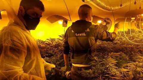 Dise&ntilde;o sin t&iacute;tulo (13)