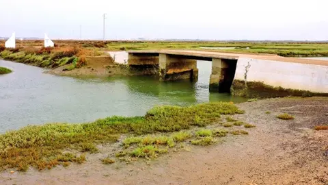 Puente del lavaero, San Fernando