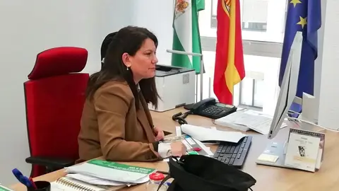 Turismo y Empleo detallan a los empresarios de C&aacute;diz las ayudas al sector para el mantenimiento de la actividad