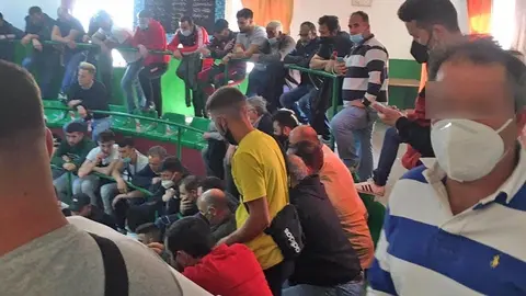 Re&ntilde;idero de pelea de gallos en la provincia de C&aacute;diz | Guardia Civil