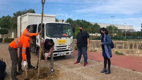 D&iacute;az_H&eacute;rica-arbolado-1