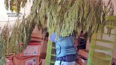 Macrooperaci&oacute;n contra el tr&aacute;fico de drogas | Guardia Civil