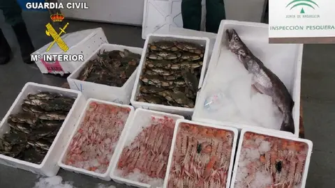 Pescaco y marisco no apto para el consumo