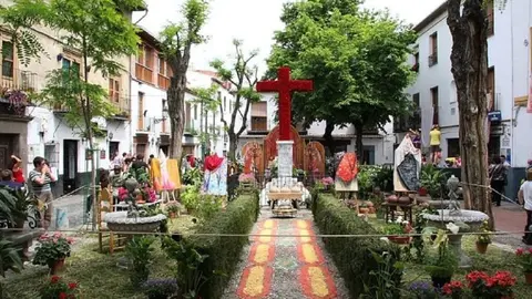 D&iacute;a de la Cruz Granada