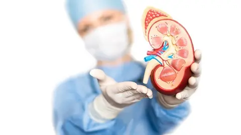 Patolog&iacute;a hereditaria del ri&ntilde;&oacute;n