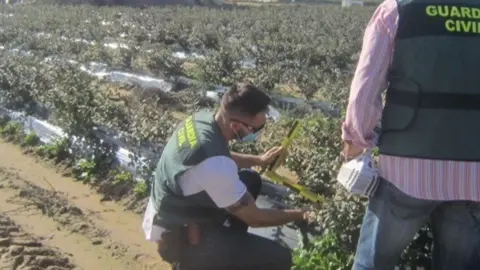Guardia Civil en Huelva / El Mira