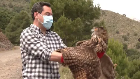 Juanma Moreno suelta b&uacute;hos reales en la Sierra de las Nieves