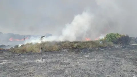 M&aacute;s de 30 bomberos trabajan en un incendio declarado en el Pinar de La Algaida de Sanl&uacute;car