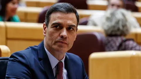 Pedro S&aacute;nchez, presidente del Gobierno