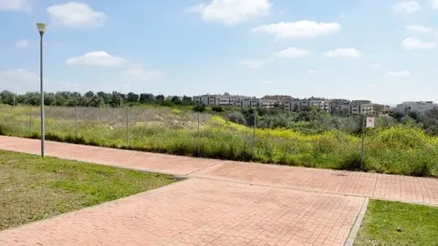 Zona donde se llevar&aacute; a cabo el nuevo colegio p&uacute;blico en Tomares