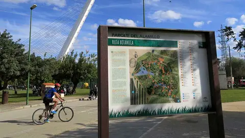 Parque del Alamillo
