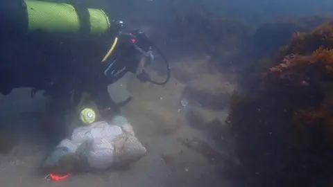 Ecologistas y submarinistas realizan este s&aacute;bado una limpieza de basura en fondos marinos de Bah&iacute;a de Algeciras