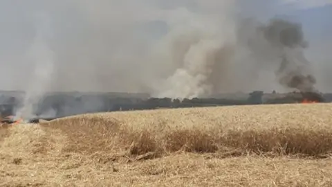 Declarado un incendio inicialmente agr&iacute;cola en Sanl&uacute;car que ya afecta al Corredor Verde