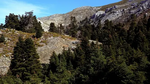 La Sierra de las Nieves