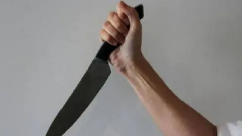 La mujer se vali&oacute; de un cuchillo