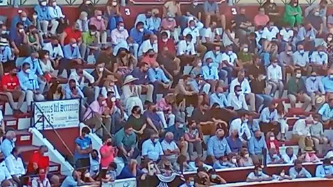 Lleno en la Plaza de Toros de Sanl&uacute;car de Barrameda - 6 JUNIO 2021