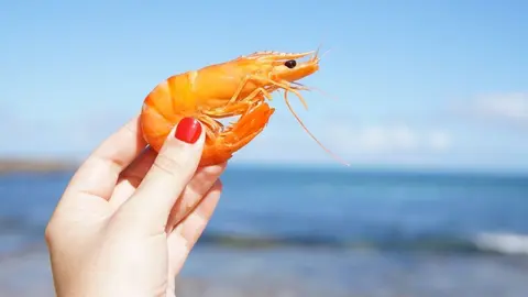 Langostinos de Sanl&uacute;car de Barrameda