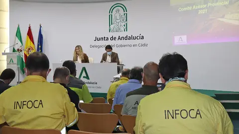 210607 Comit&eacute; Asesor Plan Infoca 2