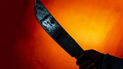 Machete / Imagen de Archivo