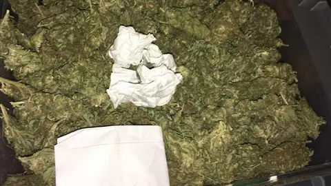 Marihuana incautada en la provincia de Granada