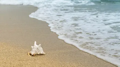 Playas Algeciras Foto: Pixabay