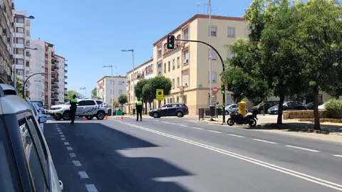 La avenida Federico Molina