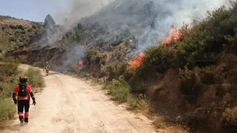 Incendio forestal en Granada