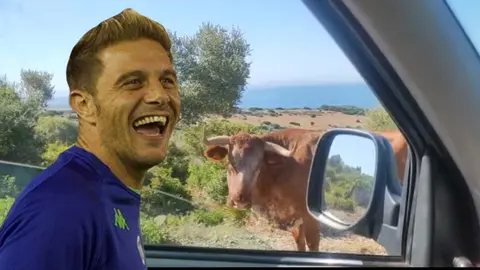 Joaqu&iacute;n y la vaca de Bolonia