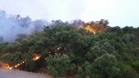Incendio forestal en El Garrobo (Sevilla)