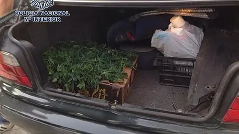 Marihuana en el interior del coche en Roquetas