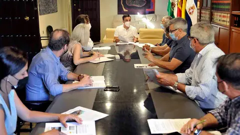 Comisi&oacute;n del Patrimonio Hist&oacute;rico de Jerez