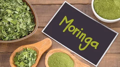 Contraindicaciones de la moringa si se consume en exceso