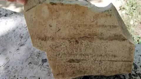 La agresi&oacute;n se realiz&oacute; con un adoqu&iacute;n