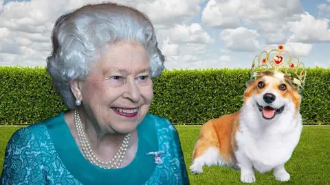 La Reina Isabel II y sus perros