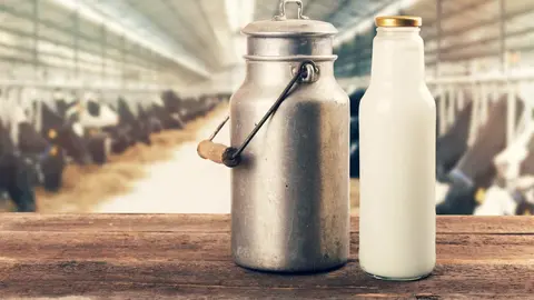 Beneficios de la leche entera y desnatada