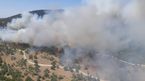 Incendio en Alcal&aacute; de los Gazules (C&aacute;diz)