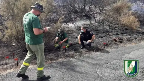 Incendios en El Garrobo, en la provincia de Sevilla