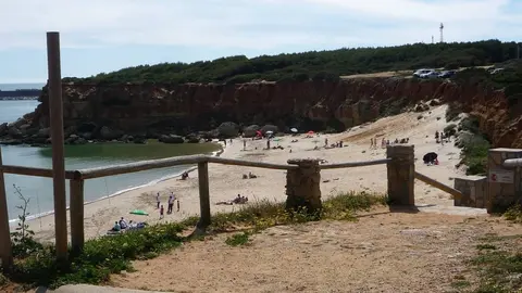 Webp.net-resizeimage (3)