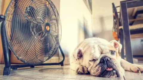 Se avecina la primera gran ola de calor del verano en Espa&ntilde;a que podr&iacute;a batir r&eacute;cords