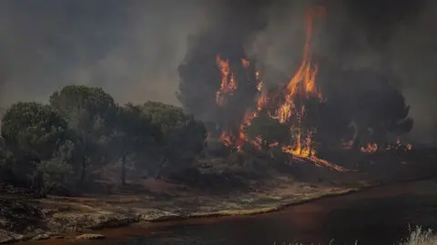 Incendio en Villarrasa en Huelva