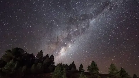 Webp.net-resizeimage (9)