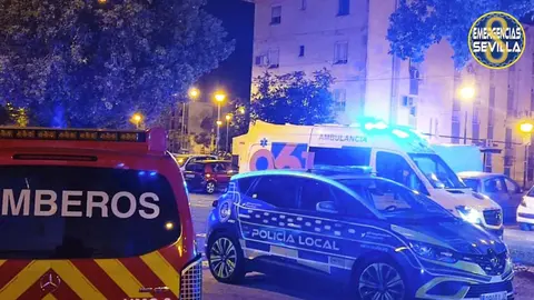 Descubren una plantaci&oacute;n de marihuana gracias a un incendio en Sevilla